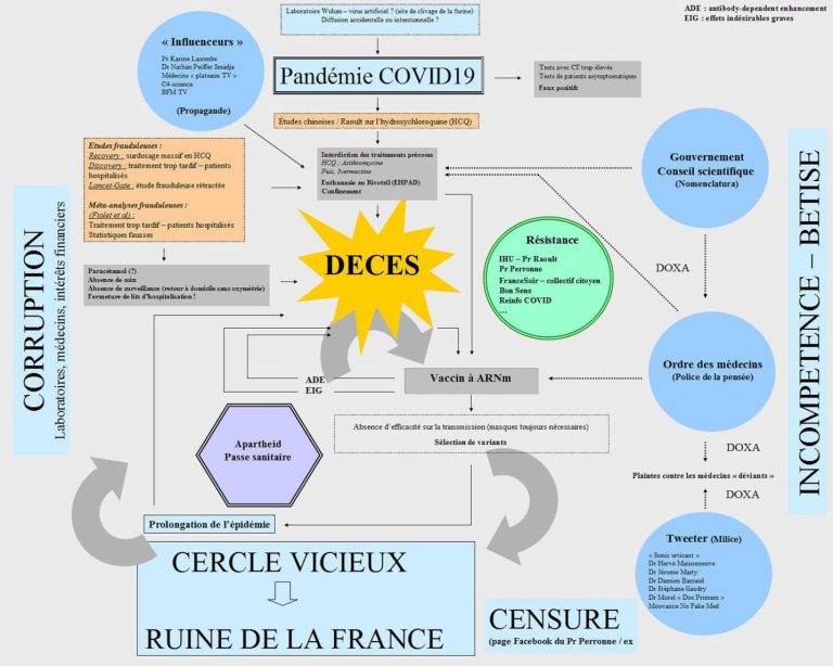 COVID 19 (diagnostic, traitements, vaccin) : panorama d’une escroquerie